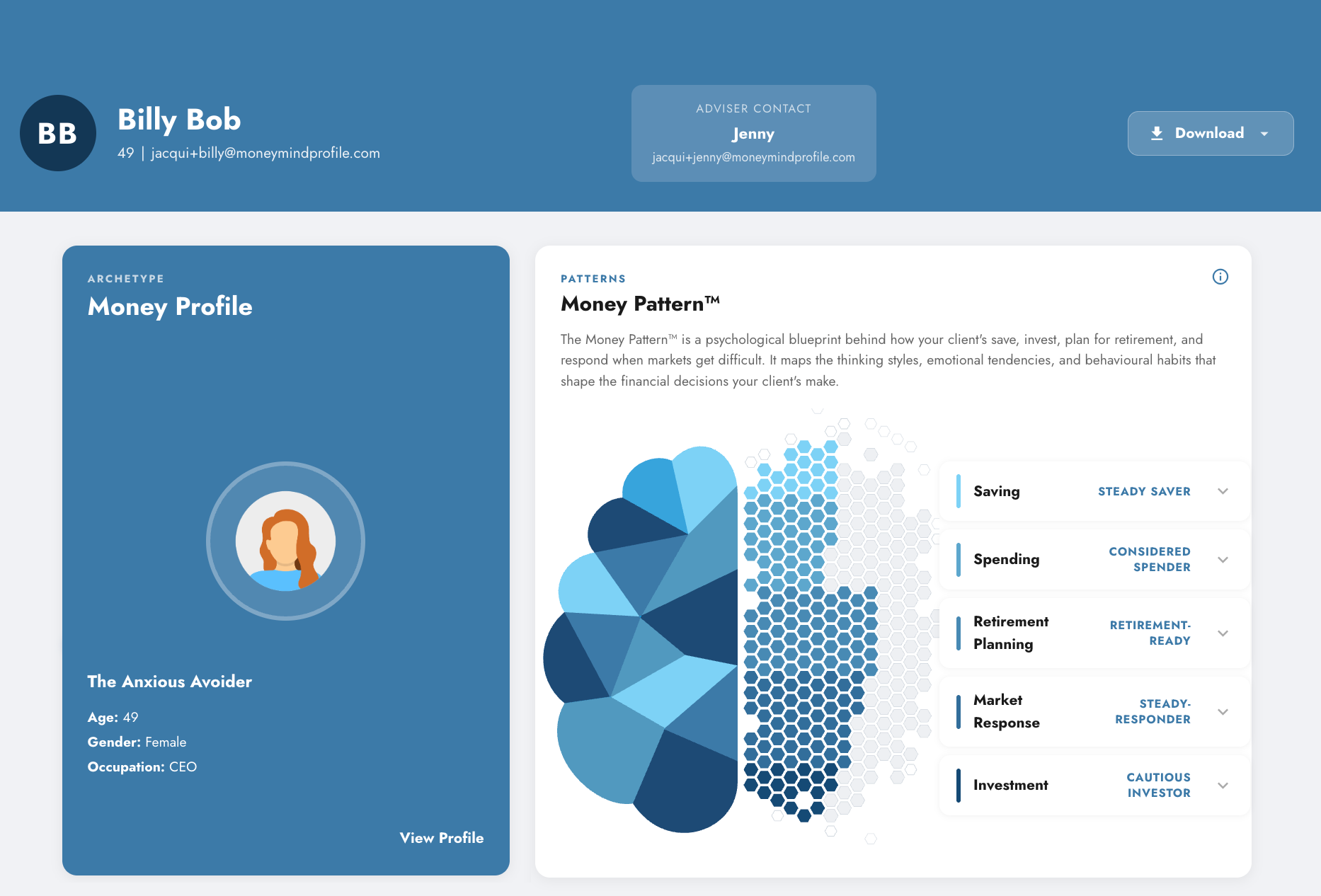MoneyMind profile dashboard showing the MoneyPattern™ for a client